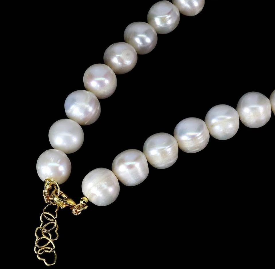 Close-up of lustrous South Sea Pearls on a necklace, showcasing the elegant golden clasp and extender chain.