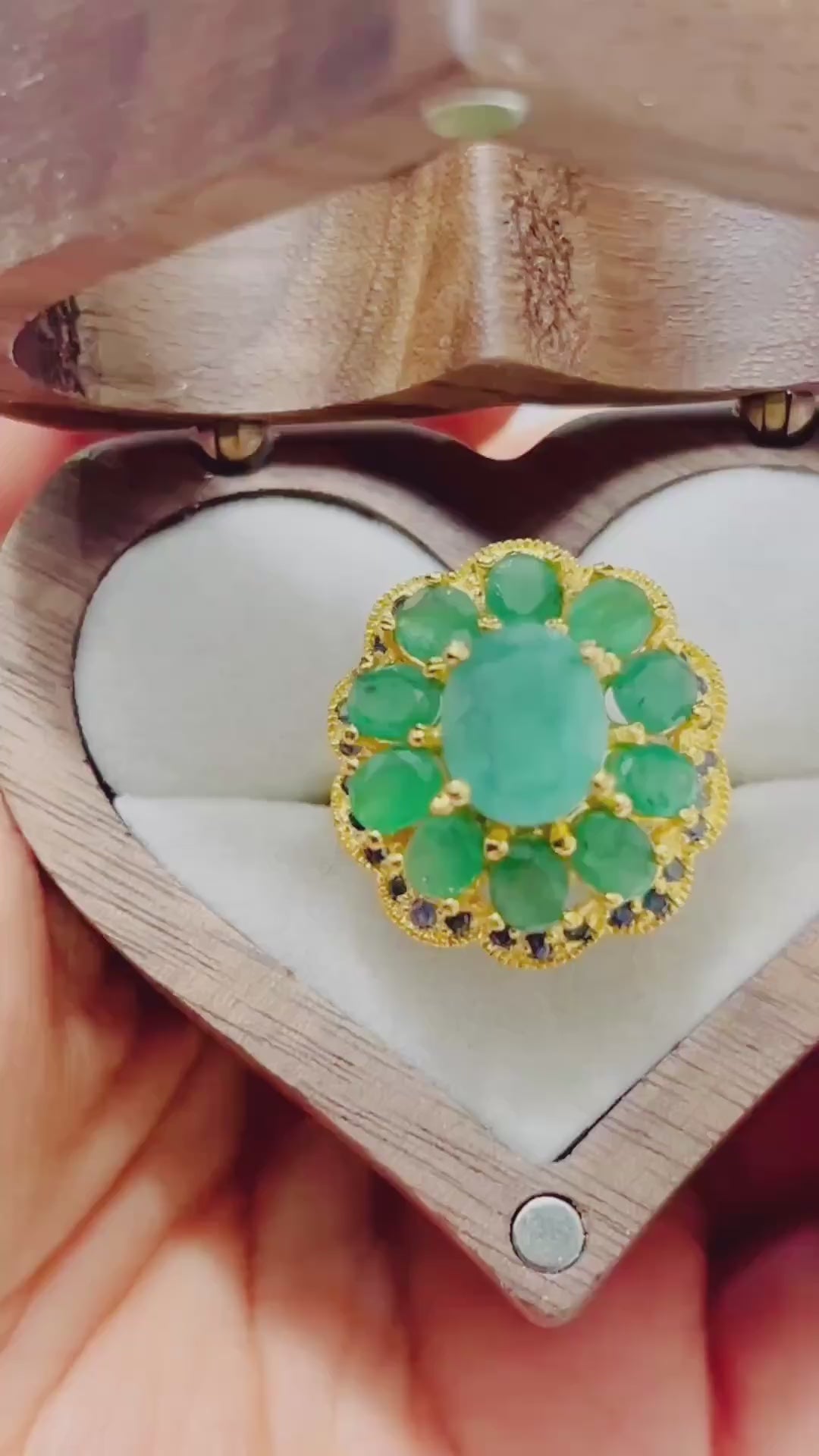 Video showcasing Eva and Elie collection highlights